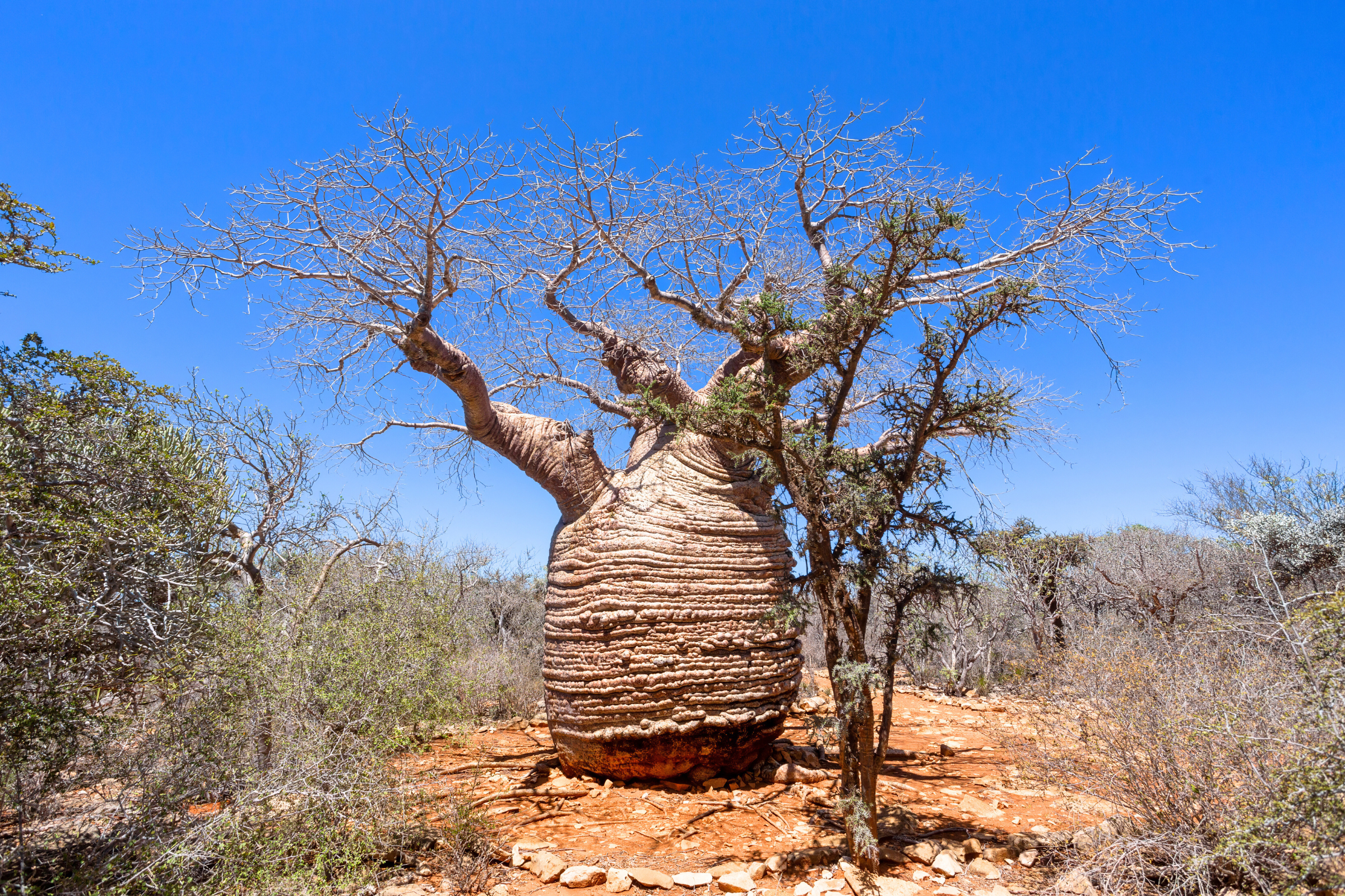 46_Tsimanampetsotsa_Nature_Reserve[1].webp